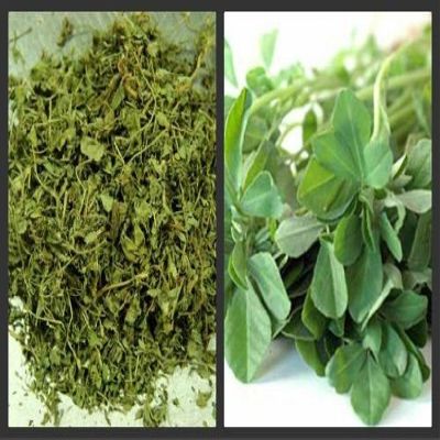 100g | DRIED FENUGREEK LEAVES DRY FENUGREEK LEAF METHI KASTO...