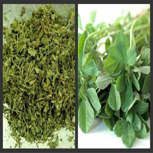 100g | DRIED FENUGREEK LEAVES DRY FENUGREEK LEAF METHI KASTO...