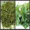 100g | DRIED FENUGREEK LEAVES DRY FENUGREEK LEAF METHI KASTO... view 1
