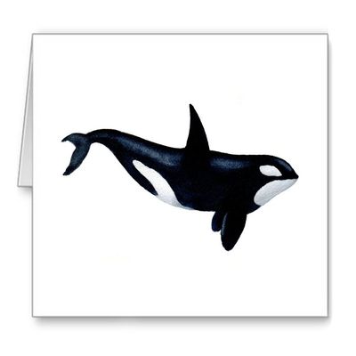 DJ Rogers Fine Art Orca - Set of 10 Note Cards With Envelopes