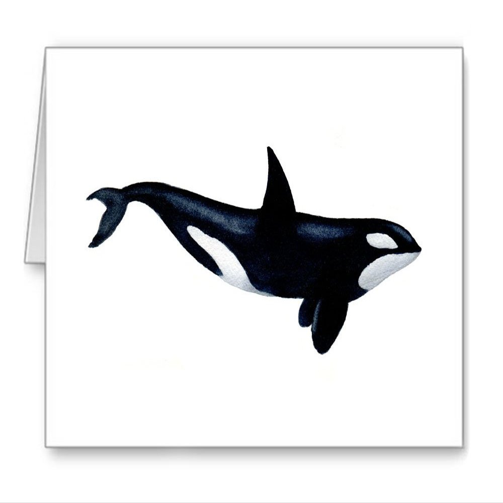 DJ Rogers Fine Art Orca - Set of 10 Note Cards With Envelopes