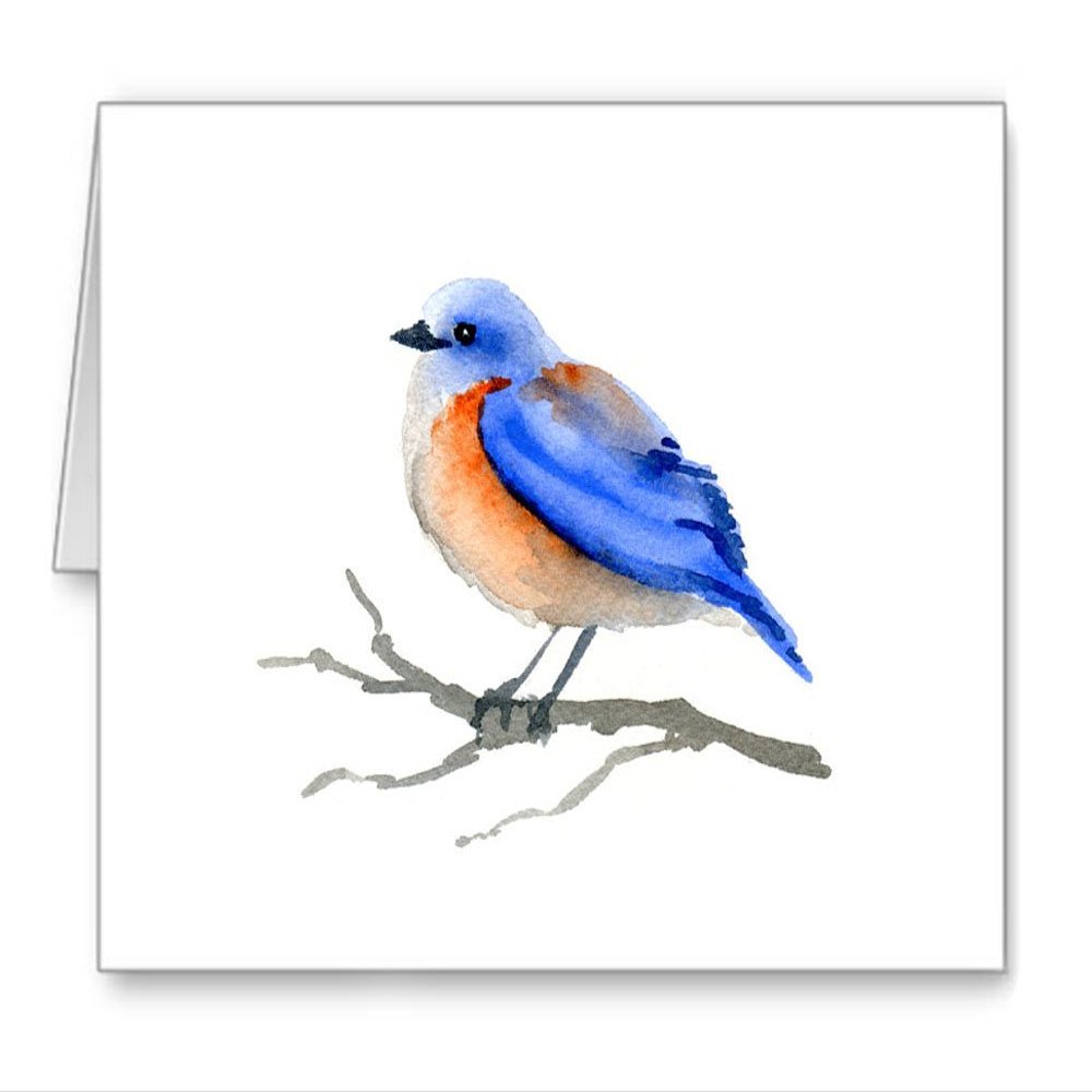DJ Rogers Fine Art Bluebird - Set of 10 Note Cards With Envelopes