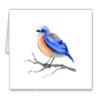 DJ Rogers Fine Art Bluebird - Set of 10 Note Cards With Envelopes view 1