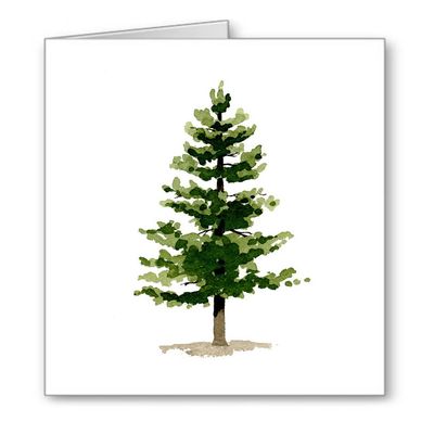 DJ Rogers Fine Art Pine Tree - Set of 10 Note Cards With Envelopes