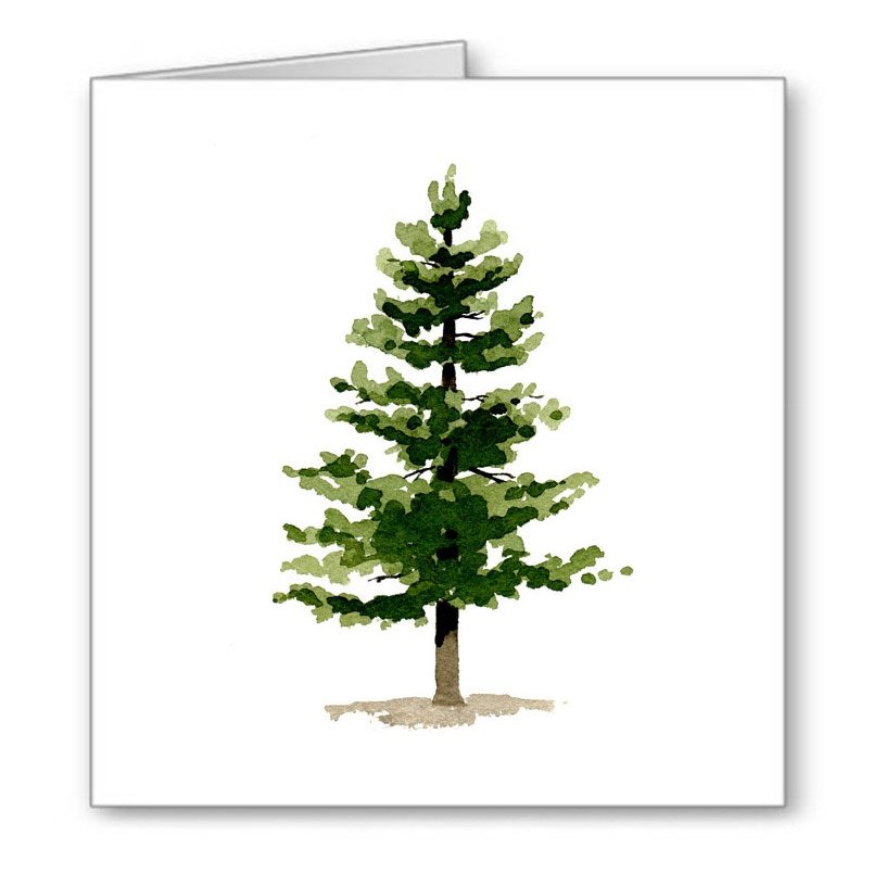 DJ Rogers Fine Art Pine Tree - Set of 10 Note Cards With Envelopes