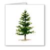 DJ Rogers Fine Art Pine Tree - Set of 10 Note Cards With Envelopes view 1