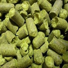 US Apollo Hop Pellets - 1 oz.