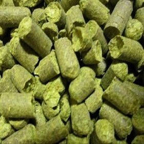 US Apollo Hop Pellets - 1 oz.