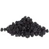 Bella Viva Orchards Dried Blueberries (Sugar Infused), 1 lb of Dried Fruit view 1