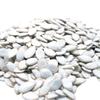 Jumbo Raw Pumpkin Seeds in Shell by Gerbs - 4 LBS - Top 11 Food Allergen Free & Non GMO - Vegan & Kosher - Premium Giant Size Whole Pepitas  COG USA view 1