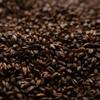 Swaen BLACKSWAEN Chocolate Wheat Uncrushed Malt - 1 lb. Bag view 1