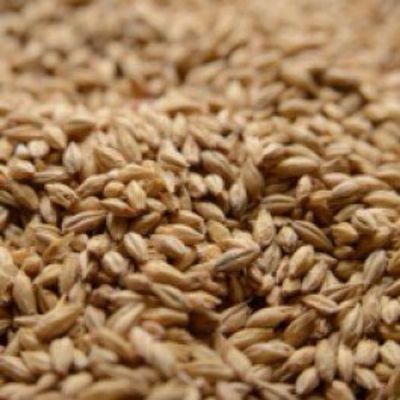 Briess Pale Ale Malt 1 lb