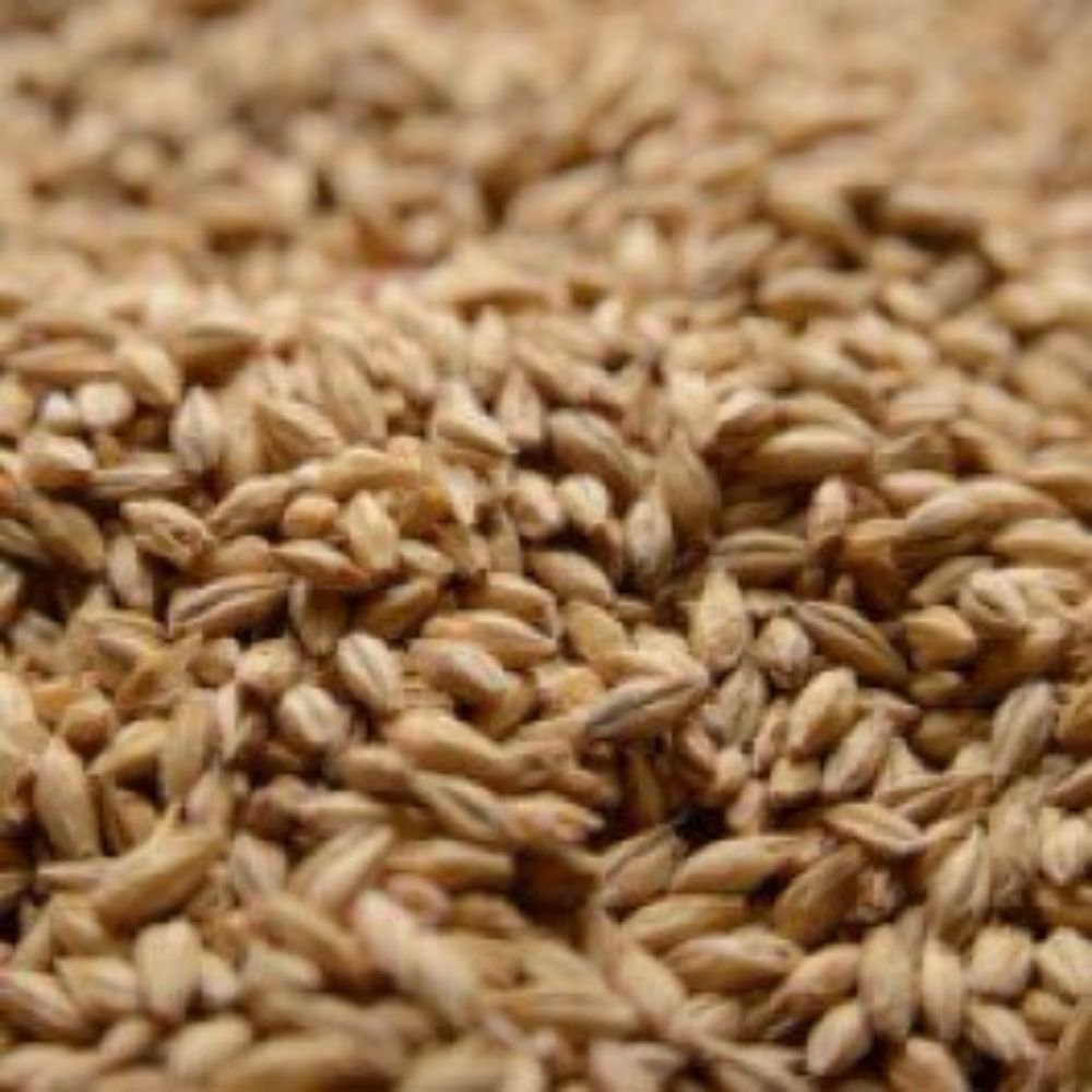 Briess Pale Ale Malt 1 lb
