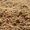 Briess Pale Ale Uncrushed Malt - 50 lb. Bag view 1