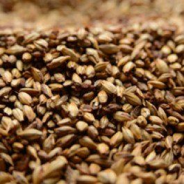 Baird Crystal Uncrushed Malt - 1 lb. Bag