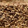Baird Crystal Uncrushed Malt - 1 lb. Bag view 1