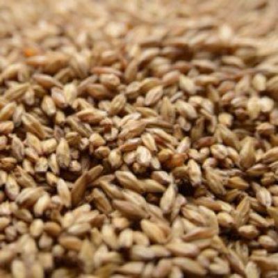 Briess Carapils Malt 1 lb