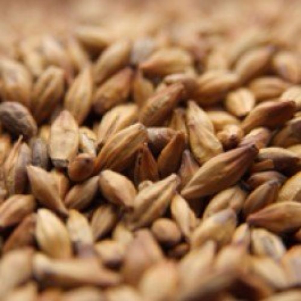 Weyermann CaraMunich Type 1 Malt 1 lb