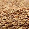 Briess Caramel 10L Malt 1 lb view 1