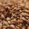 Weyermann CaraMunich Type 2 Malt 1 lb view 1