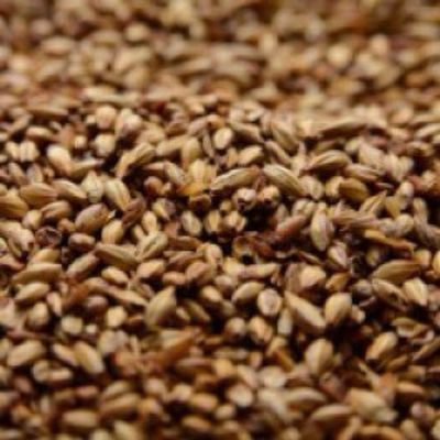Briess Caramel 40L Malt 1 lb