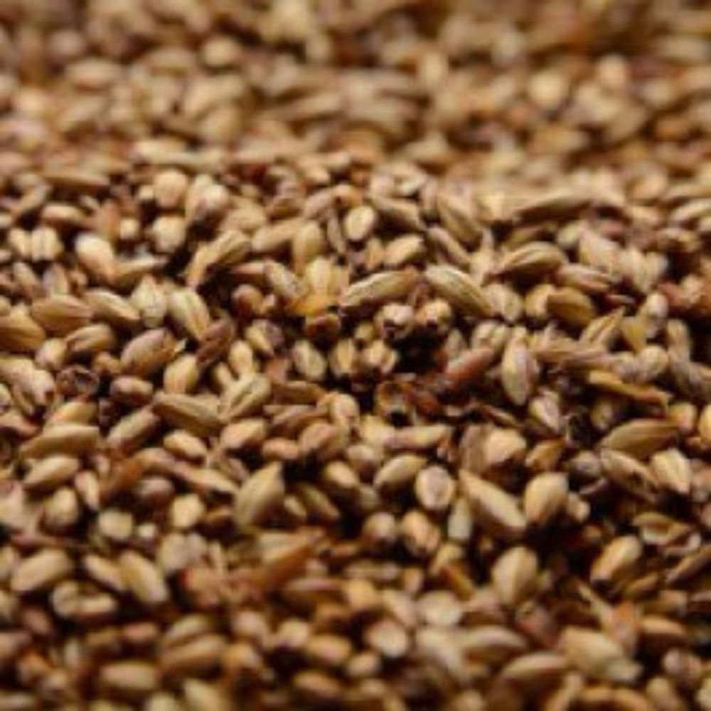 Briess Caramel 40L Malt 1 lb