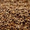 Briess Caramel 40L Malt 1 lb view 1