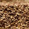 Briess Caramel 60L Malt 1 lb view 1