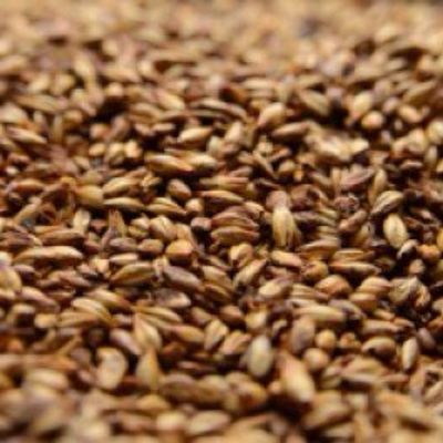 Briess 2-Row Caramel 80L Uncrushed Malt - 1 lb. Bag