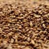 Briess 2-Row Caramel 80L Uncrushed Malt - 1 lb. Bag view 1