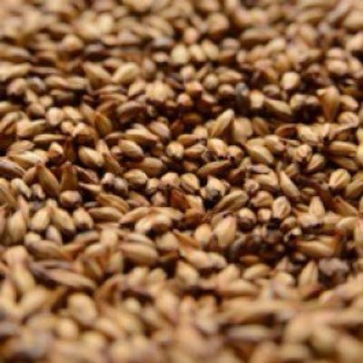 Briess 2-Row Caramel 120L Malt 1 lb