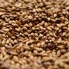 Briess 2-Row Caramel 120L Malt 1 lb view 1