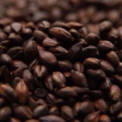 Weyermann Carafa Type 3 Malt 1 lb
