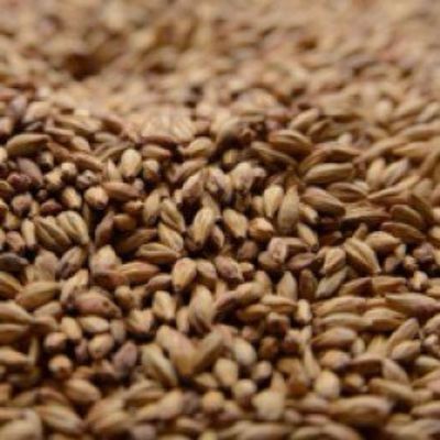 Briess Special Roast Malt 1 lb