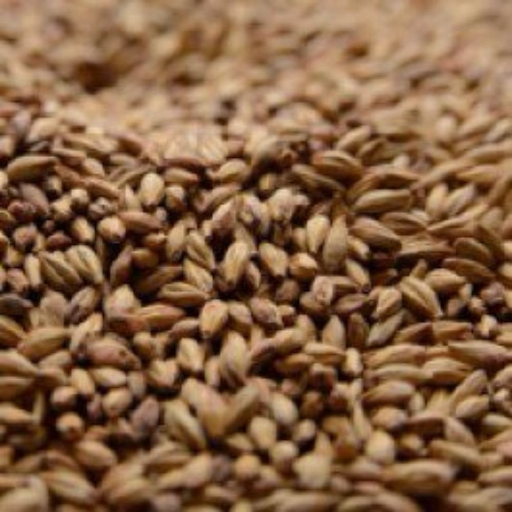 Briess Special Roast Malt 1 lb