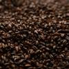 Briess 2-Row Chocolate Uncrushed Malt - 1 lb. Bag view 1