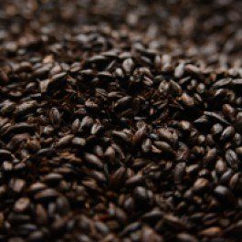 Briess 2-Row Black Uncrushed Malt - 1 lb. Bag