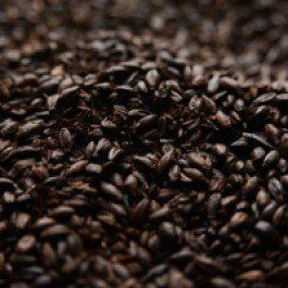 Briess 2-Row Black Uncrushed Malt - 1 lb. Bag