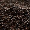 Briess 2-Row Black Uncrushed Malt - 1 lb. Bag view 1