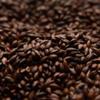 Briess Roasted Barley Malt 1 lb view 1