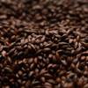 Briess Roasted Barley Malt 5 lb view 1