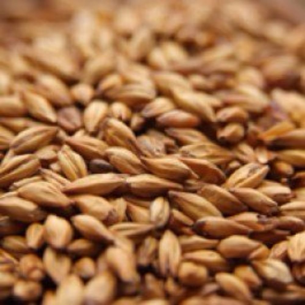 Weyermann CaraRed Malt 1 lb