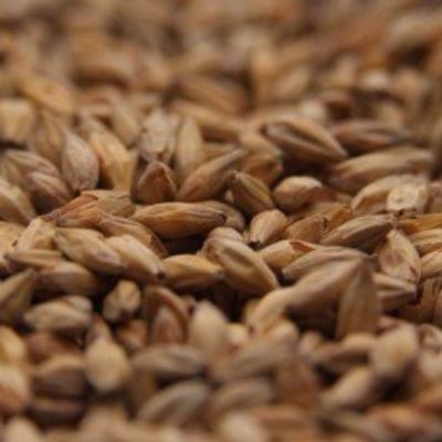 Gambrinus Honey Crushed Malt 1 lb