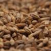 Gambrinus Honey Crushed Malt 1 lb view 1