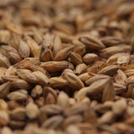 Gambrinus Honey Uncrushed Malt - 50 lb. Bag