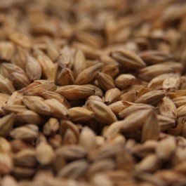 Gambrinus Honey Uncrushed Malt - 50 lb. Bag