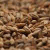 Gambrinus Honey Uncrushed Malt - 50 lb. Bag view 1