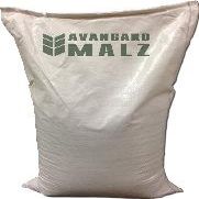 Avangard Malz Premium Light Munich Uncrushed Malt - 1 lb. Bag