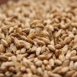 Rahr Standard 6-Row Uncrushed Malt - 1 lb. Bag