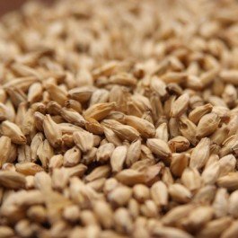 Rahr Standard 6-Row Uncrushed Malt - 1 lb. Bag